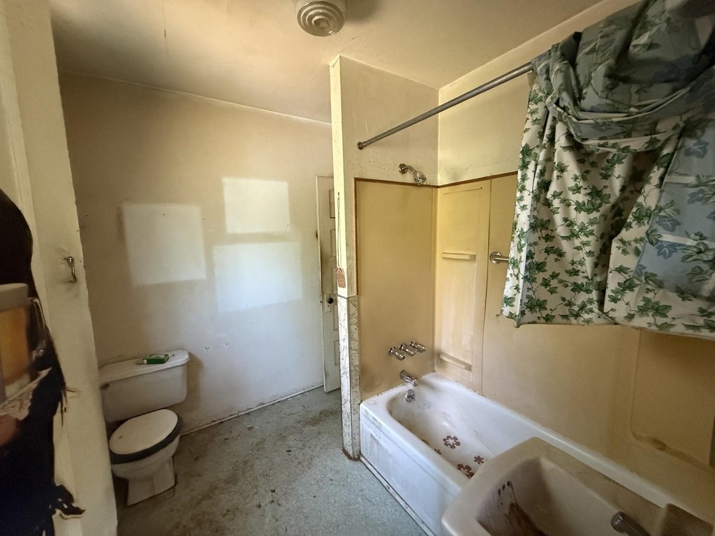 Picture 17