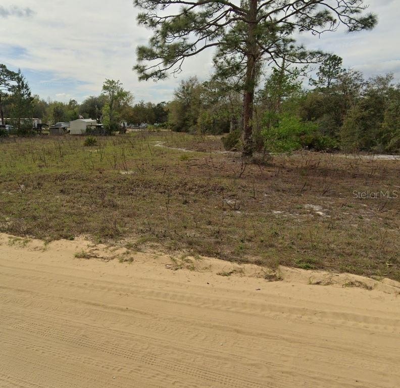 Picture 5
