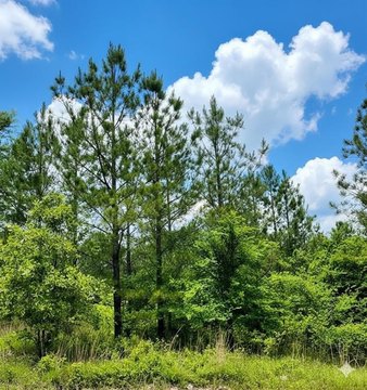 LAND - Broken Bow, OK