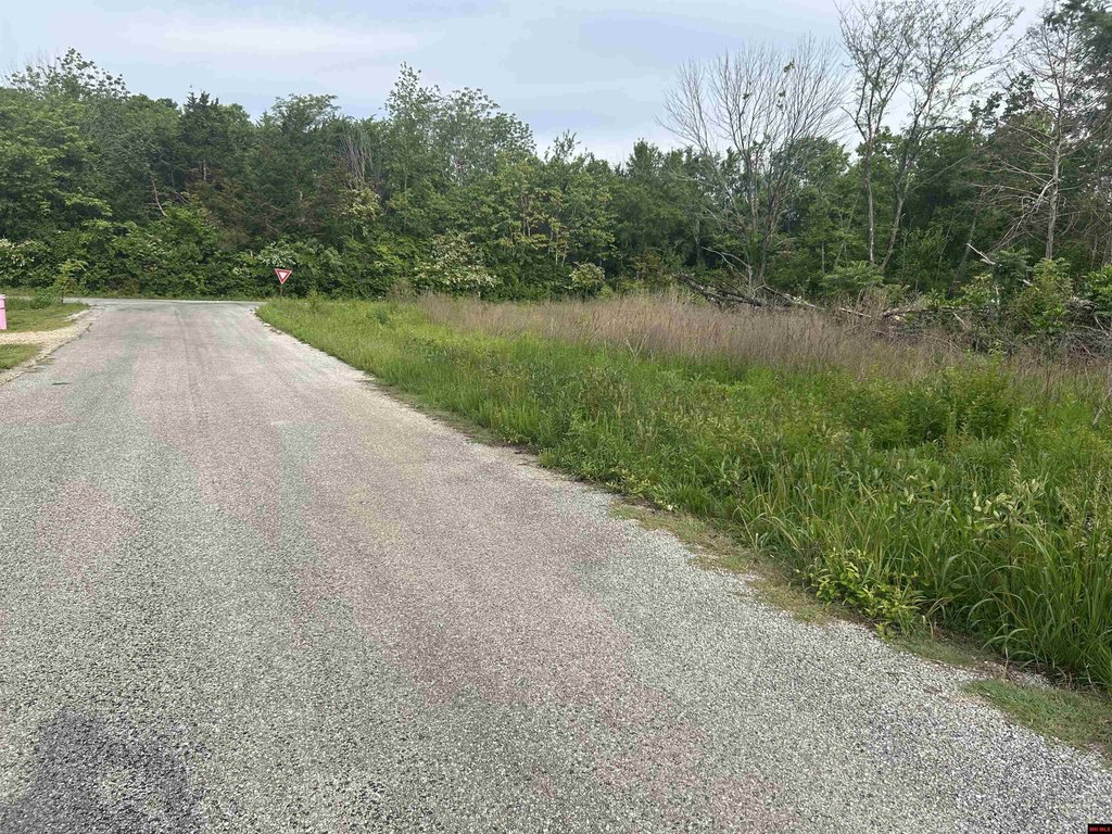 Picture 6