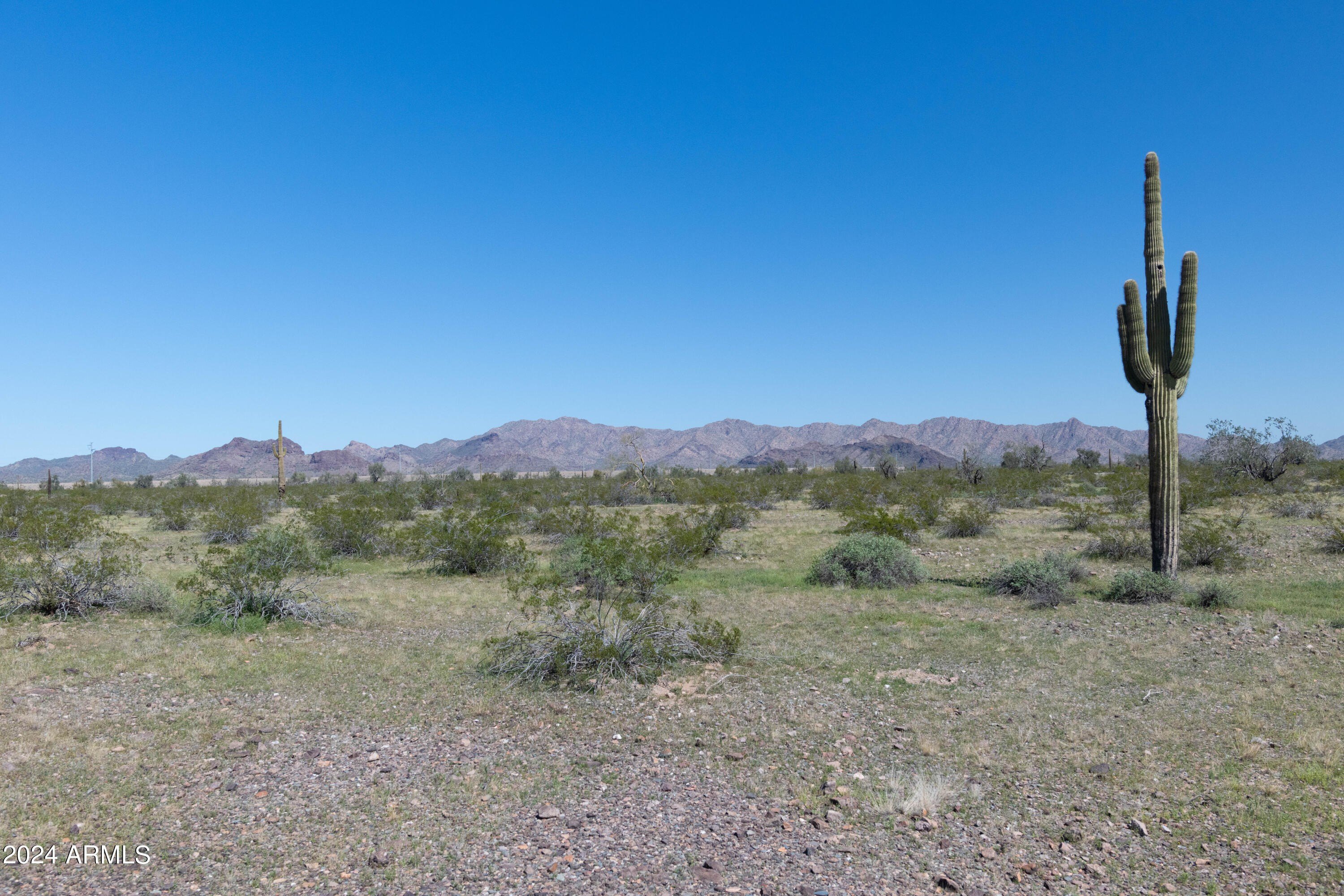 Tonopah Land with Mountain Views
