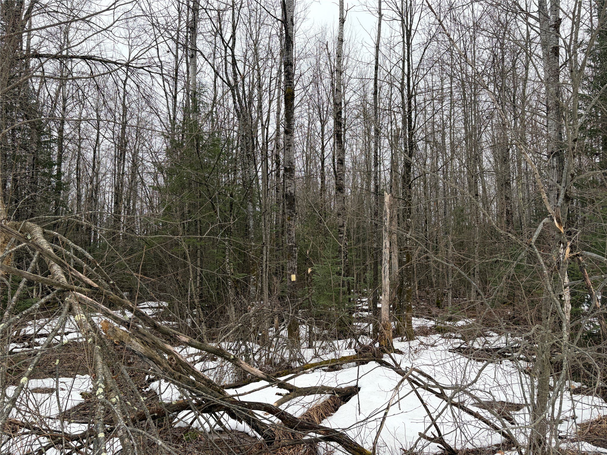Couderay, WI Forestland for Sale