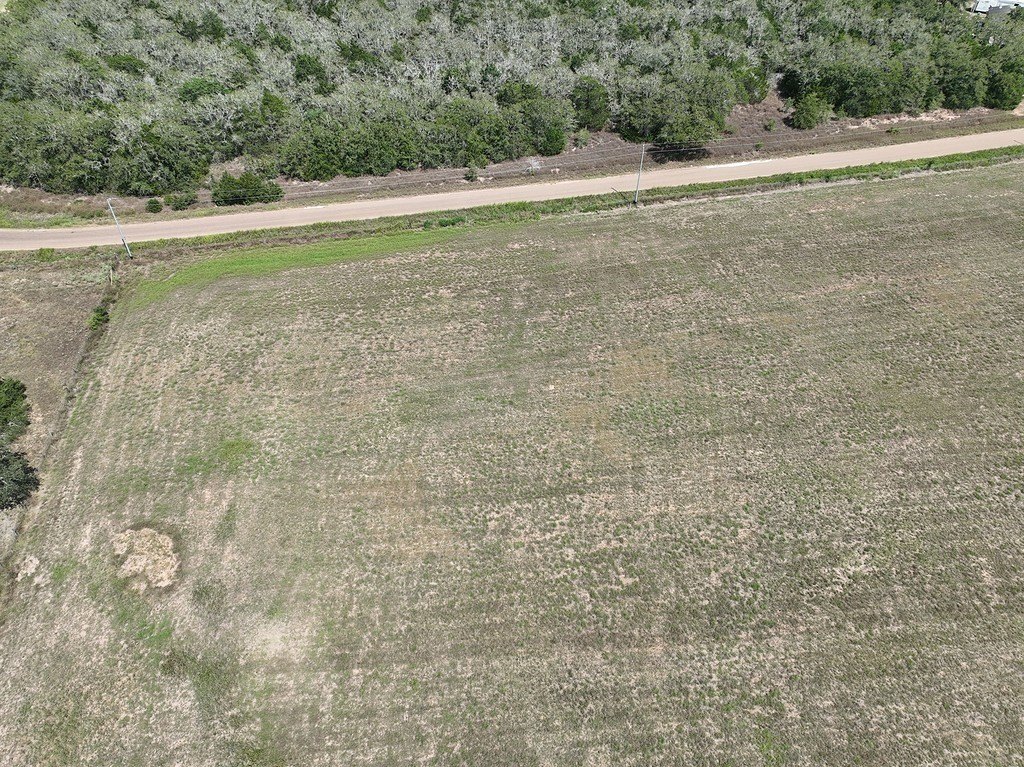Picture 15