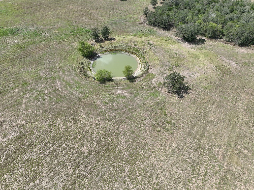 Picture 17
