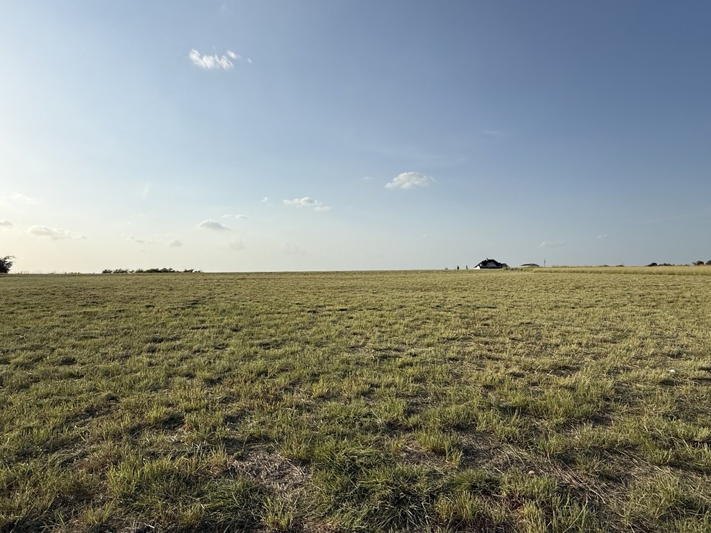 Picture 24