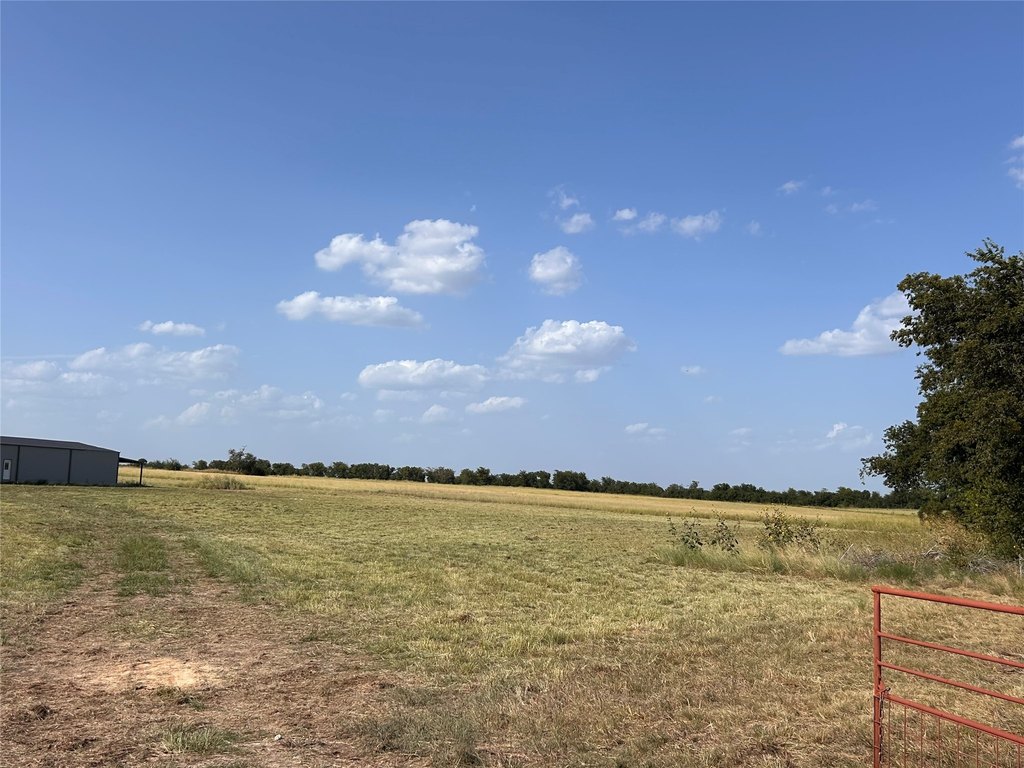 Picture 21