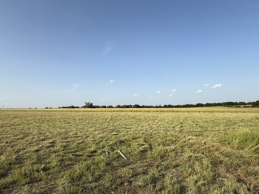 Picture 25