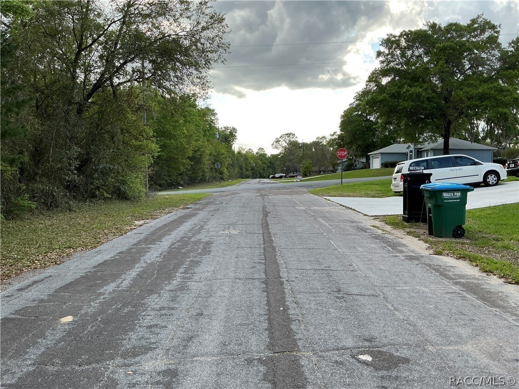 Picture 7
