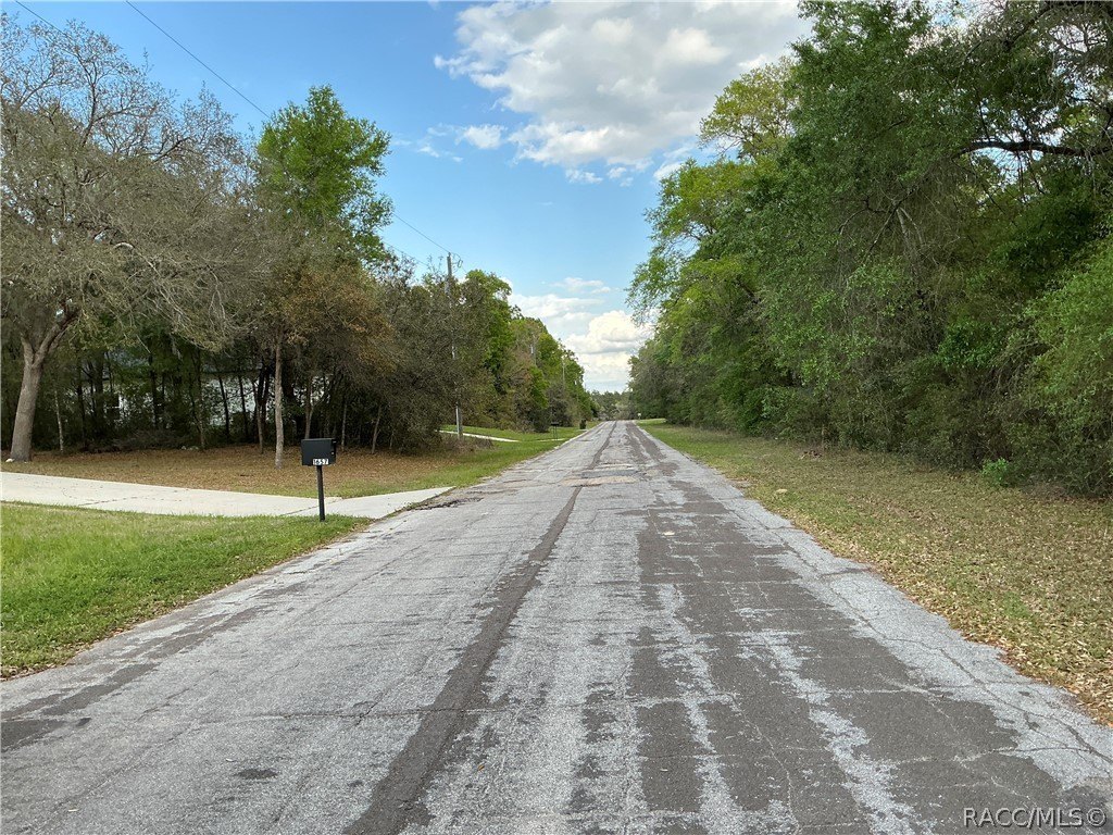 Picture 6
