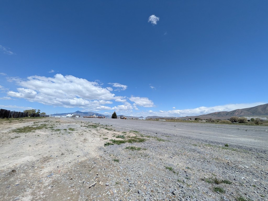Picture 8