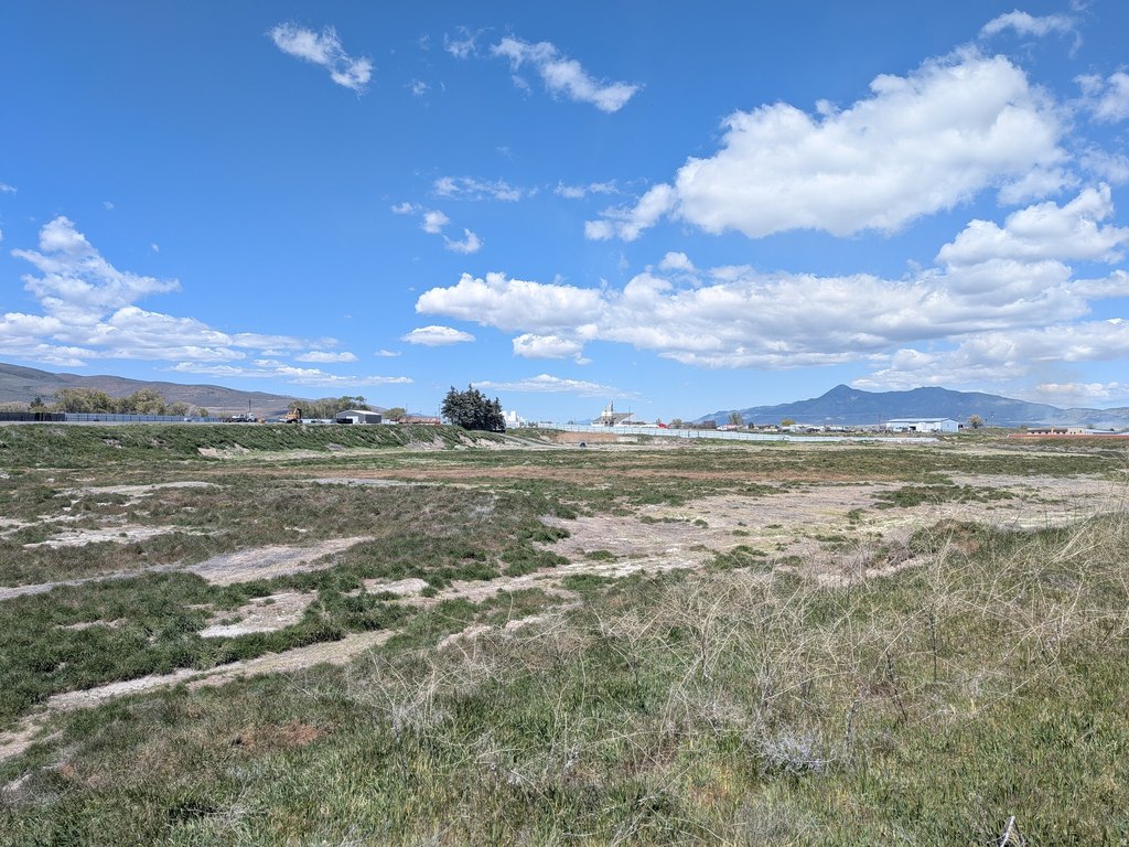 Picture 16