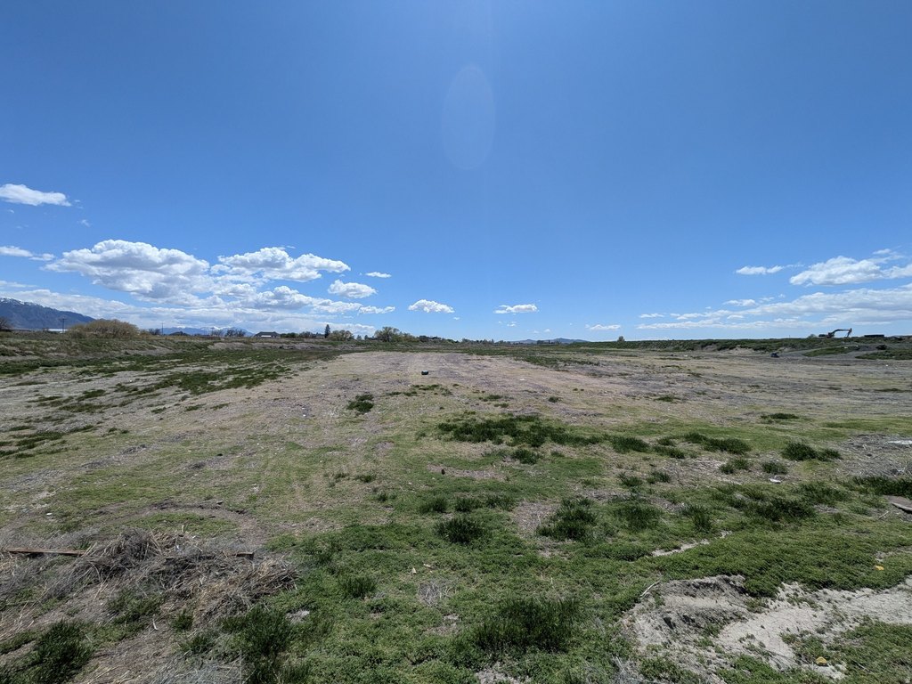 Picture 11