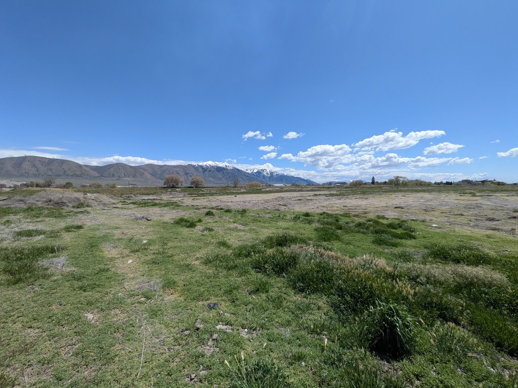 Picture 9