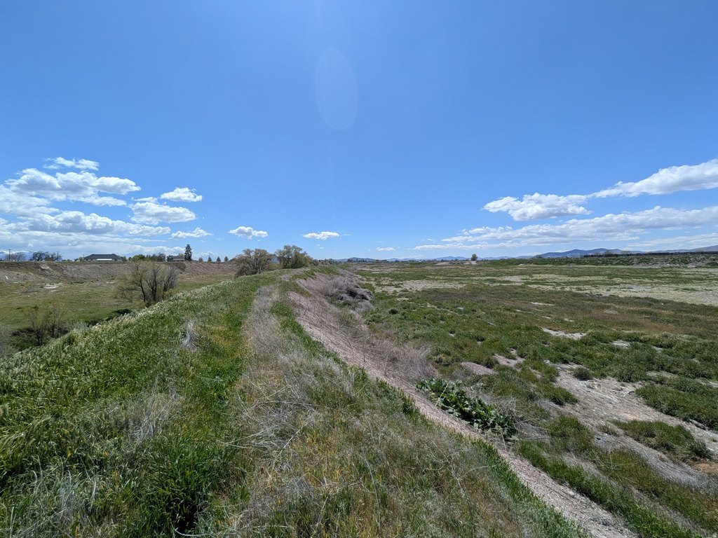 Picture 12
