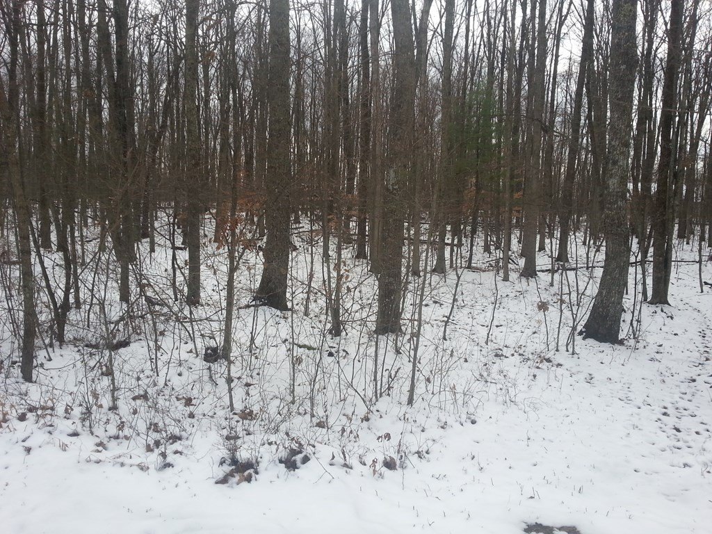 Picture 4