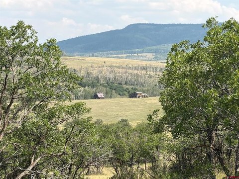 LAND, Placerville, CO