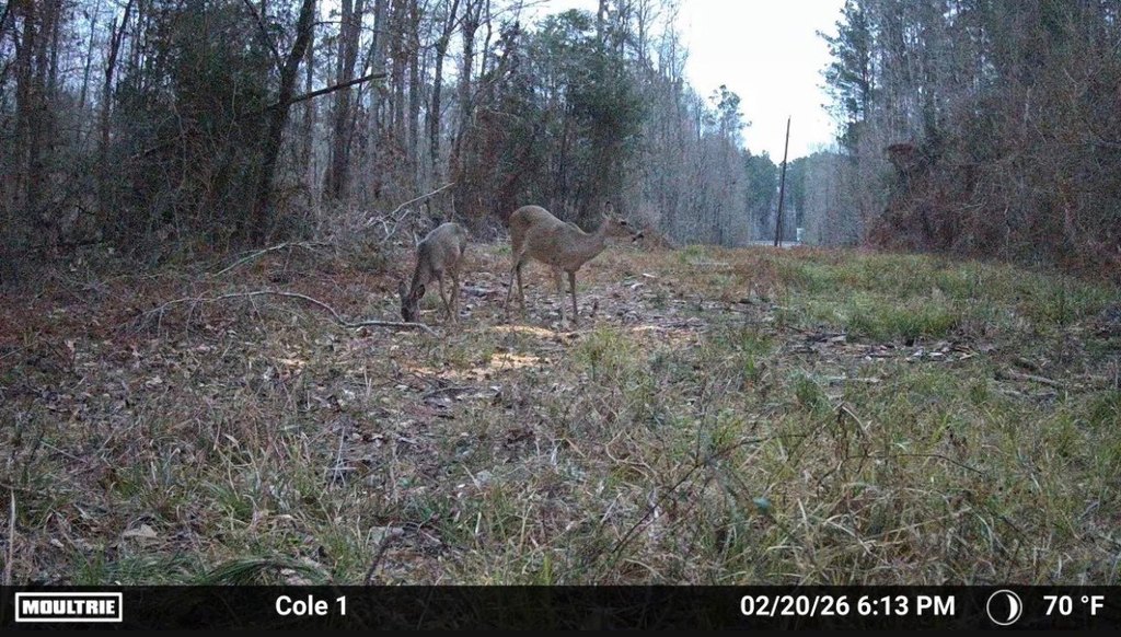 Picture 4