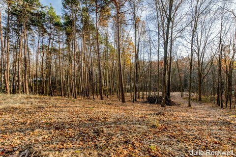 Cascade Area Build Site