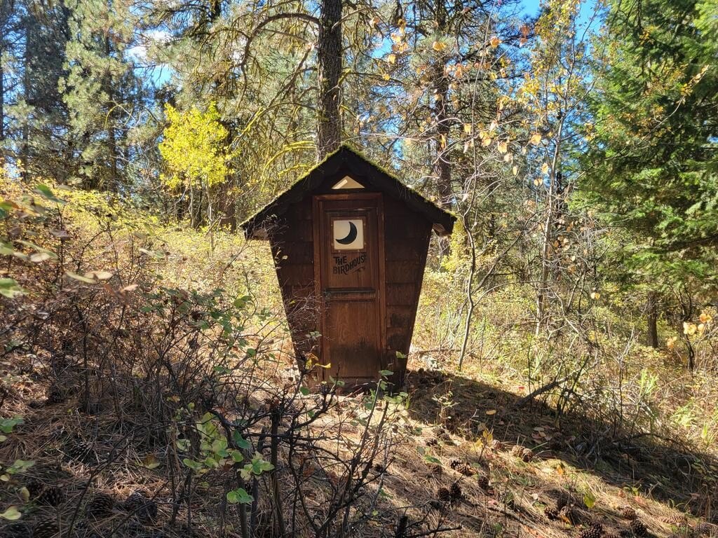 Picture 5