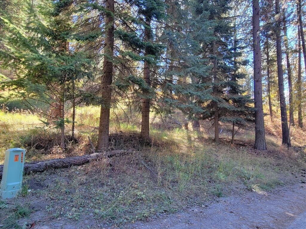 Picture 2