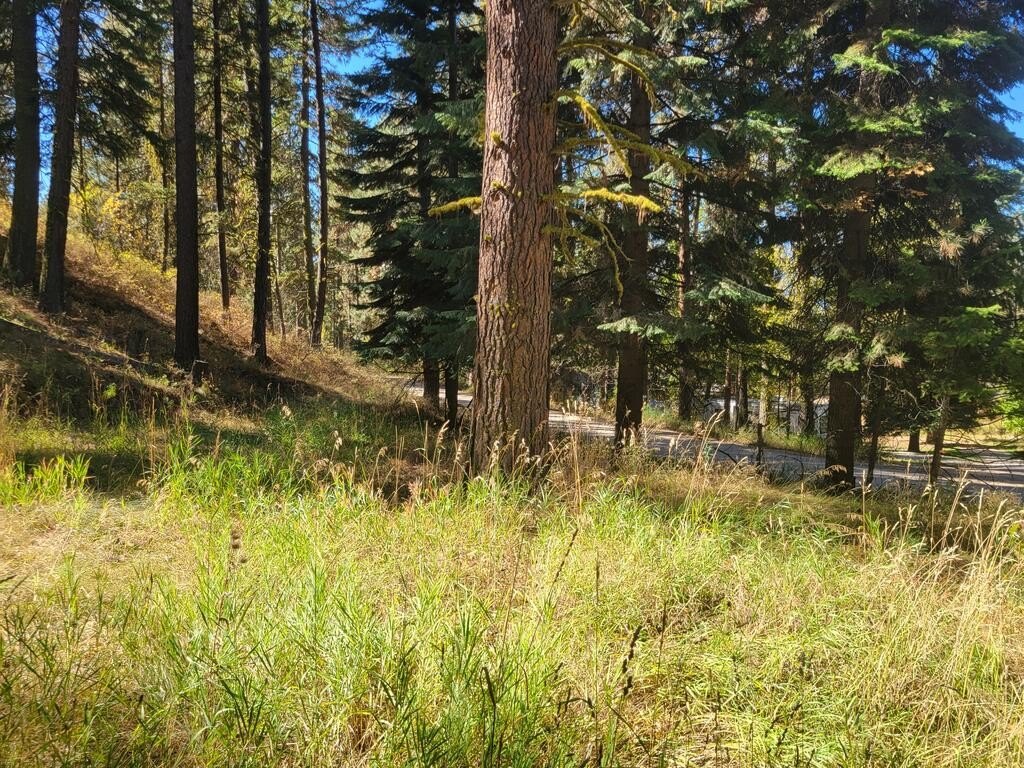 Picture 13