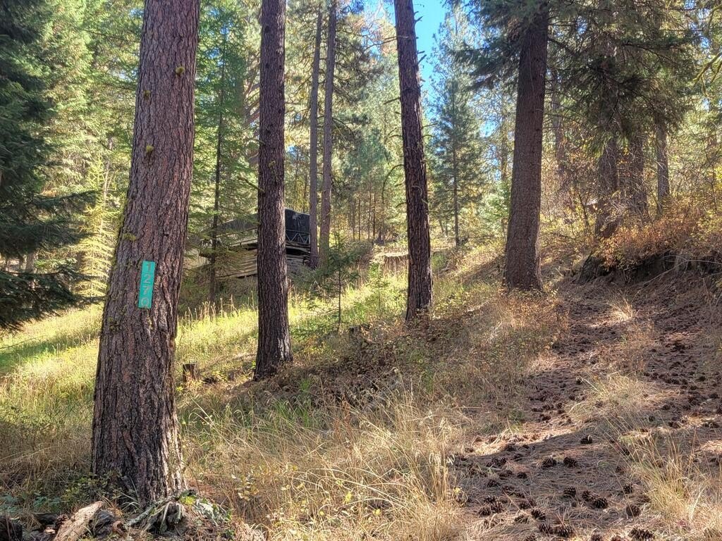 Picture 3