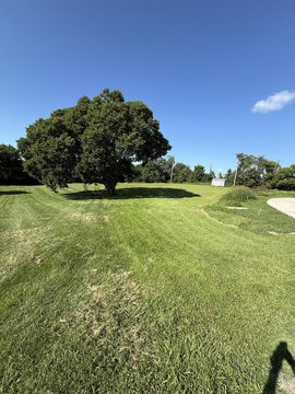 LAND - Frankfort, KY