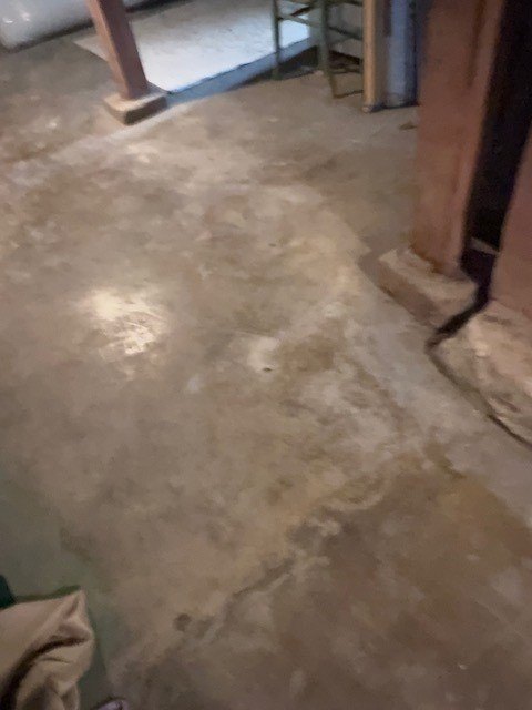 Picture 48