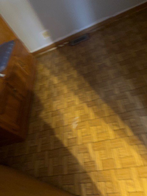 Picture 41