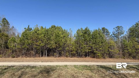 Recreational Land Parcel with Acreage
