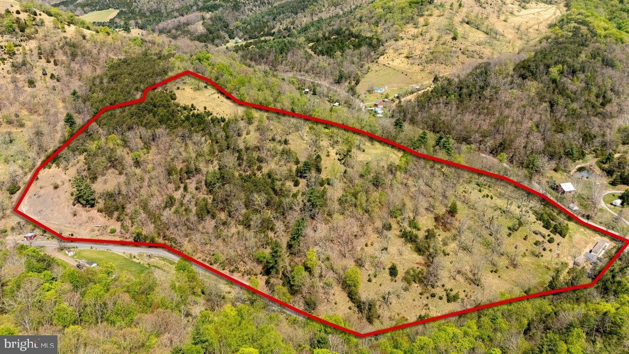 26.88 Acres Prime Hunting Land