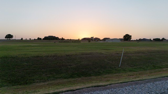 Picture 11
