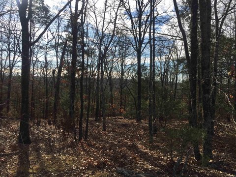 Vacant Land, Bella Vista, AR