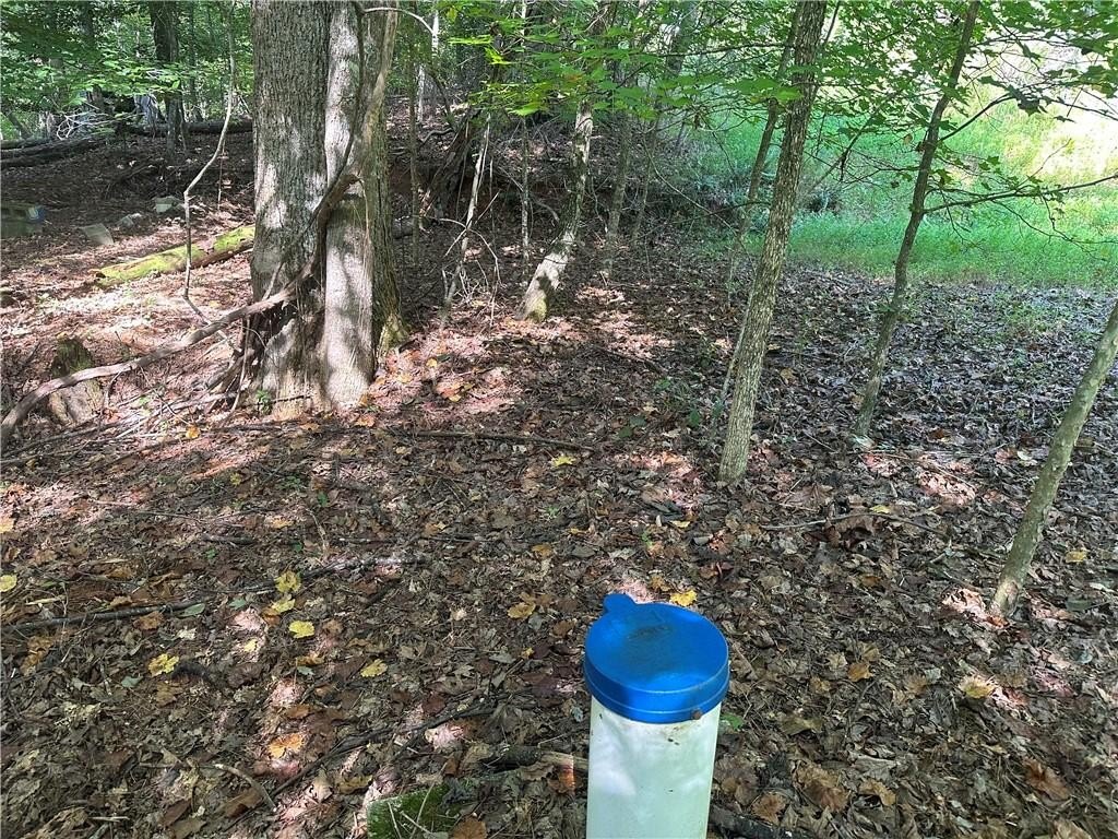 Picture 4