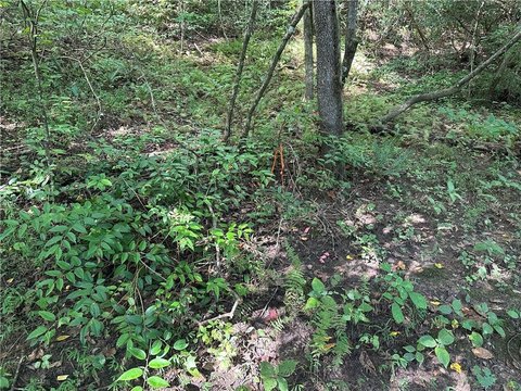 Land, Dahlonega, GA