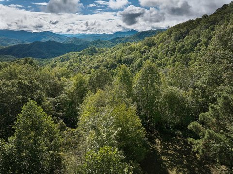 Land, Bryson City, NC