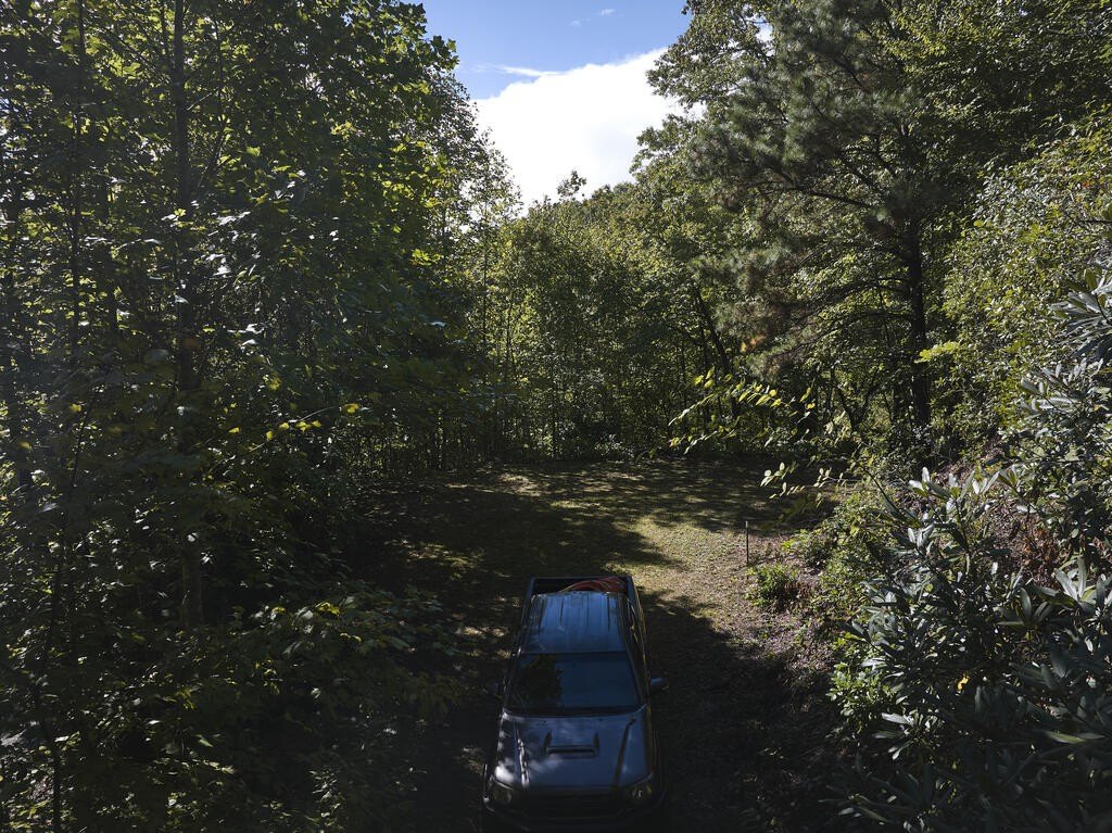 Picture 5