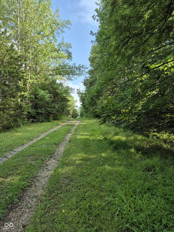 Picture 6