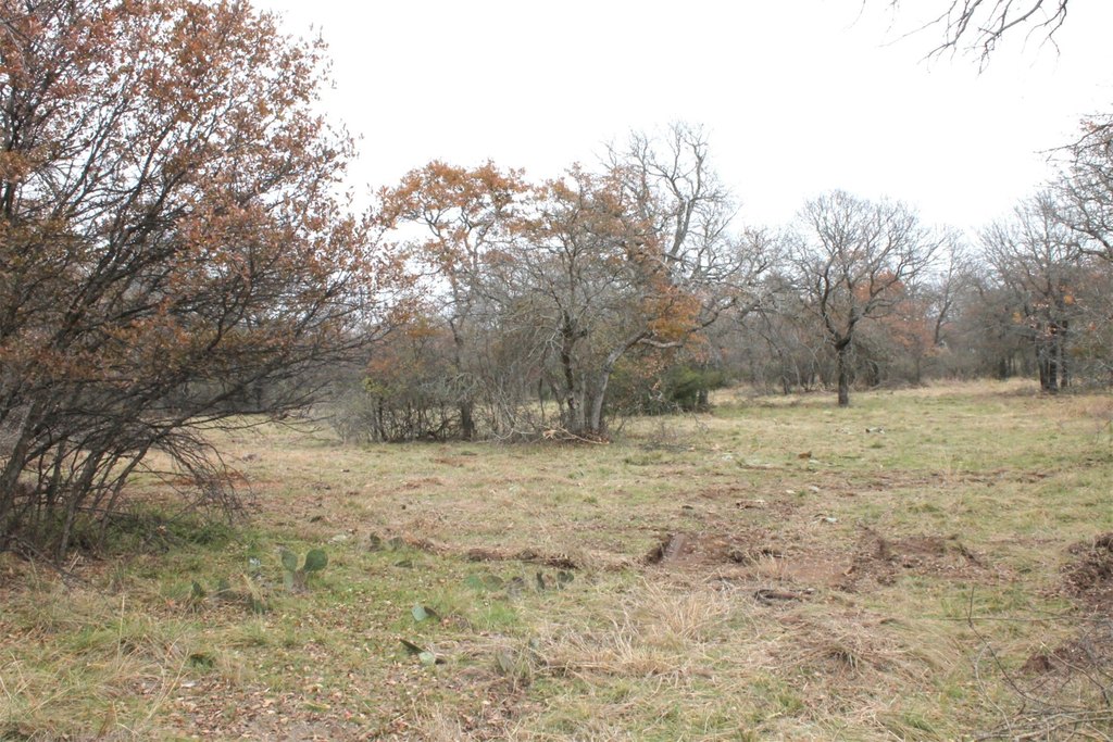 Picture 6