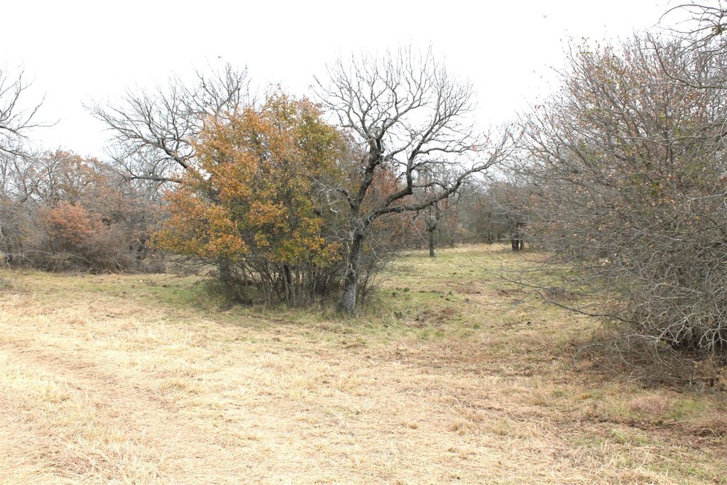 Picture 4