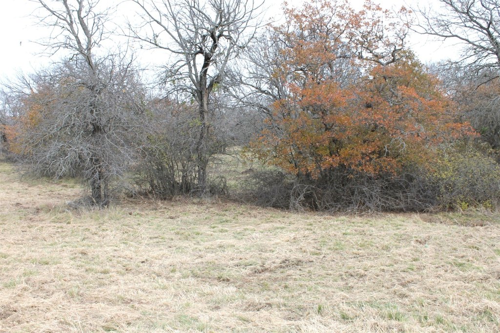 Picture 5