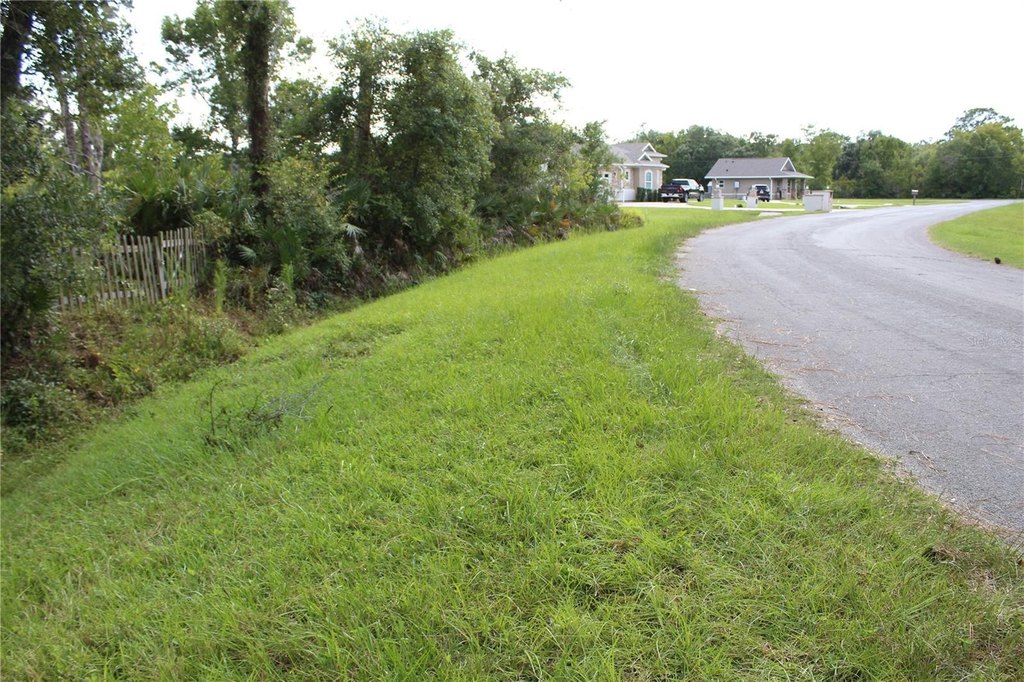 Picture 10