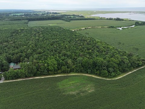 21.42 Acres of Indigenous Woodlands