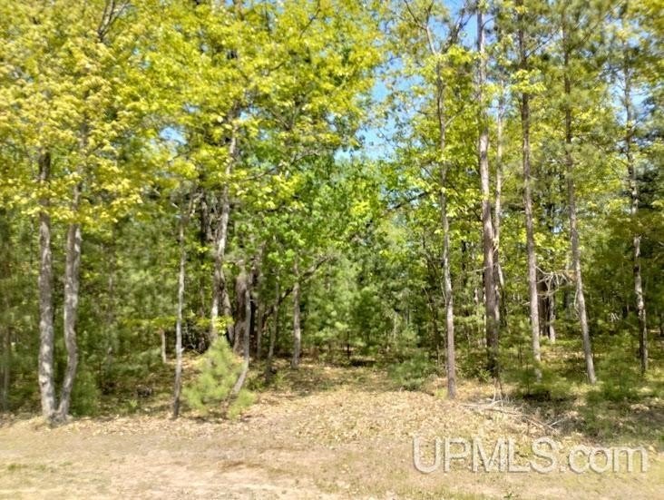 Picture 5