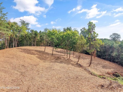 Lots & Acreage, Knoxville, TN