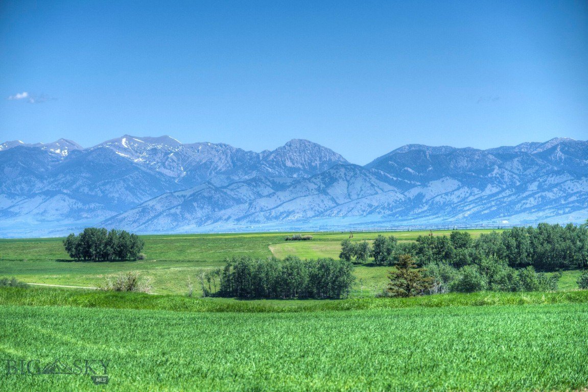 80 Acres with Mountain Views