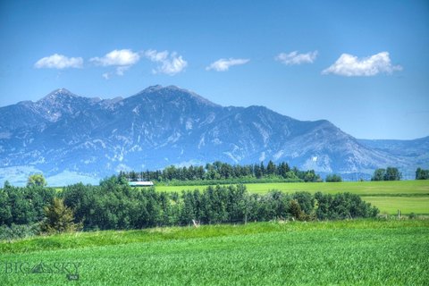 80 Acres with Mountain Views