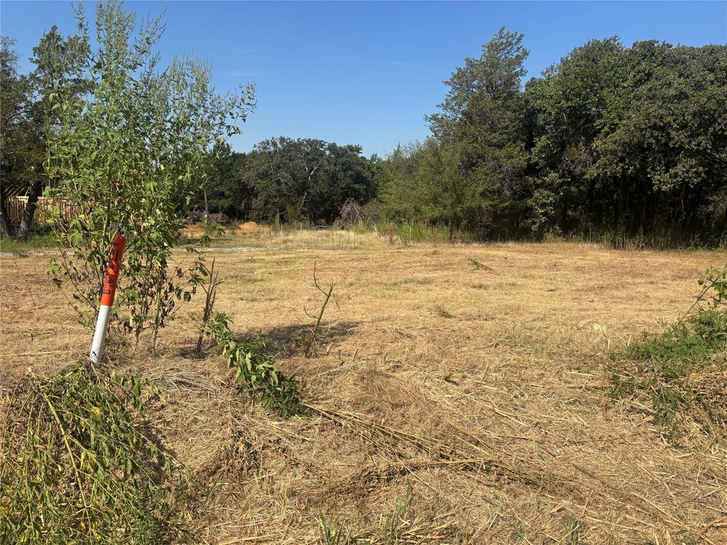 Picture 3