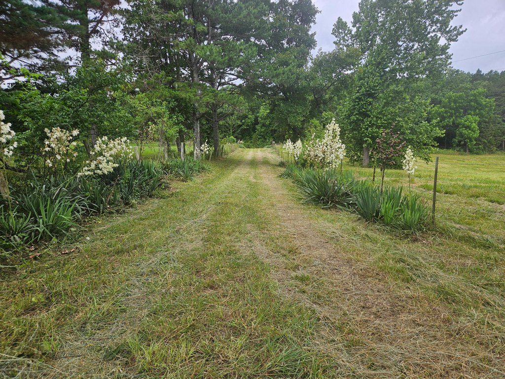 Picture 17