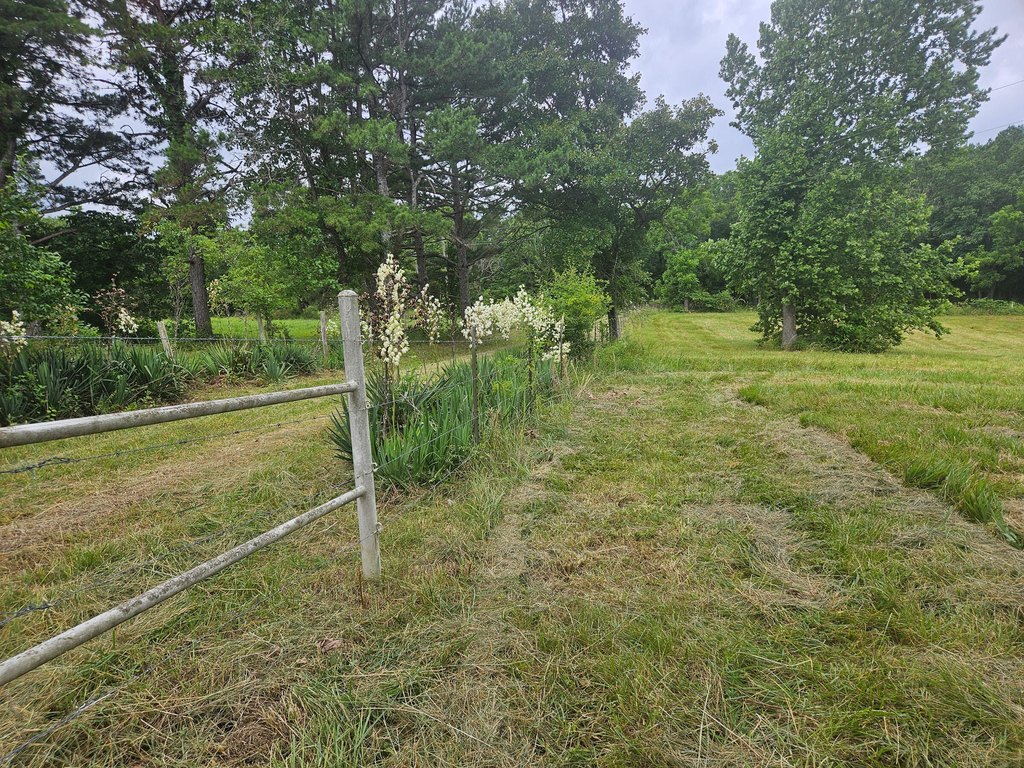 Picture 16